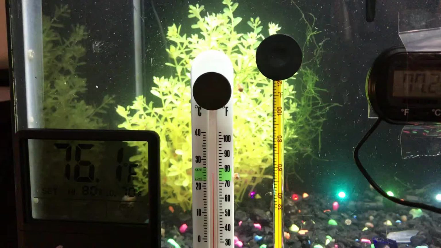 Aquarium Thermometer Test Die 5 Besten 2023