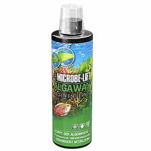 Microbe-Lift Algaway Algenvernichter review
