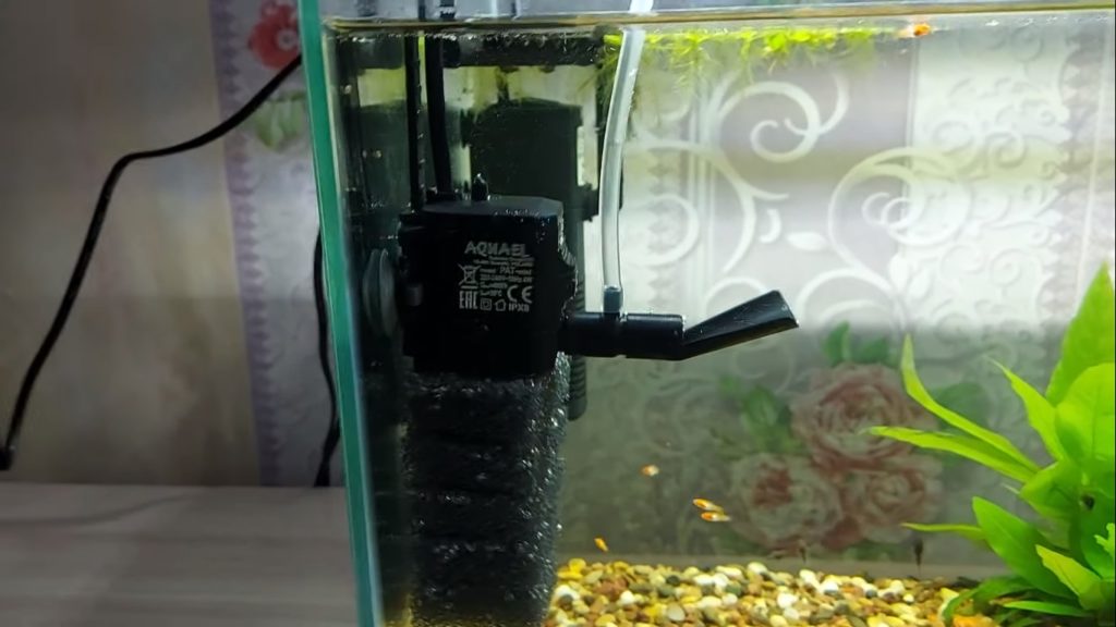 Aquarium Wasser Trüb Ursachen Und Lösungen