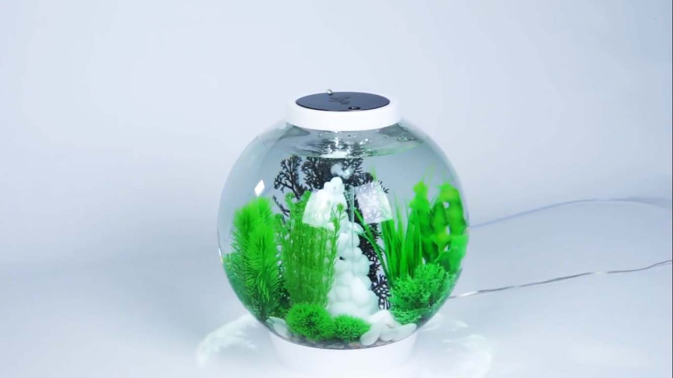 Aquarium Belüfter für die Wasserzirkulation OASE biOrb Luftpumpe 50 Hz Aquarien-Luftpumpe kompatibel mit dem biOrb Trafo Belüftung mit Niederspannung 