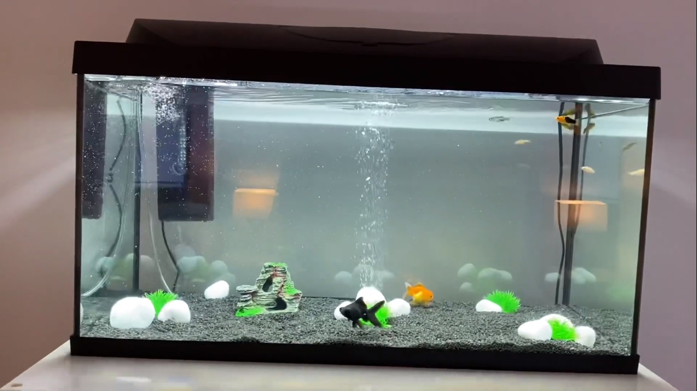 100 Liter Aquarium