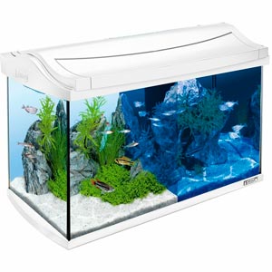 Tetra AquaArt Aquarium (60l) review
