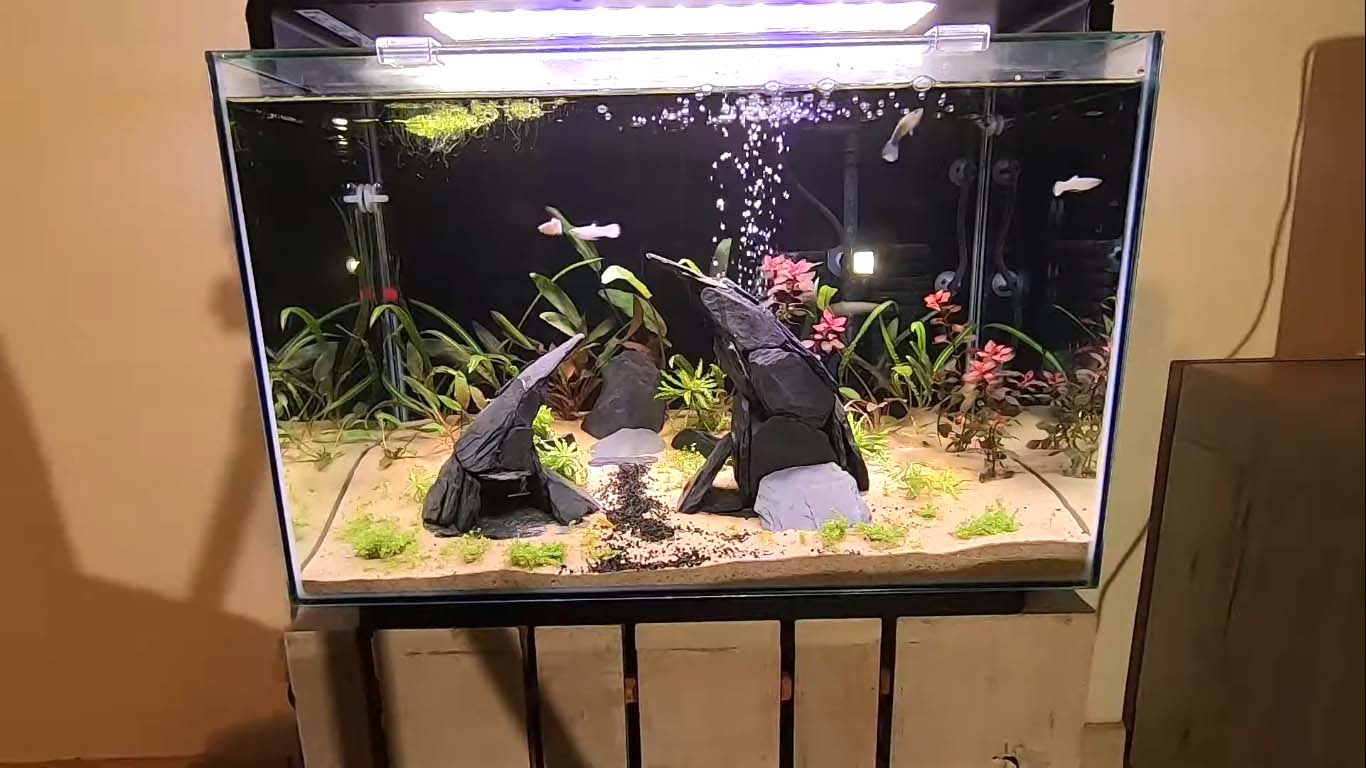 superfish aquarium